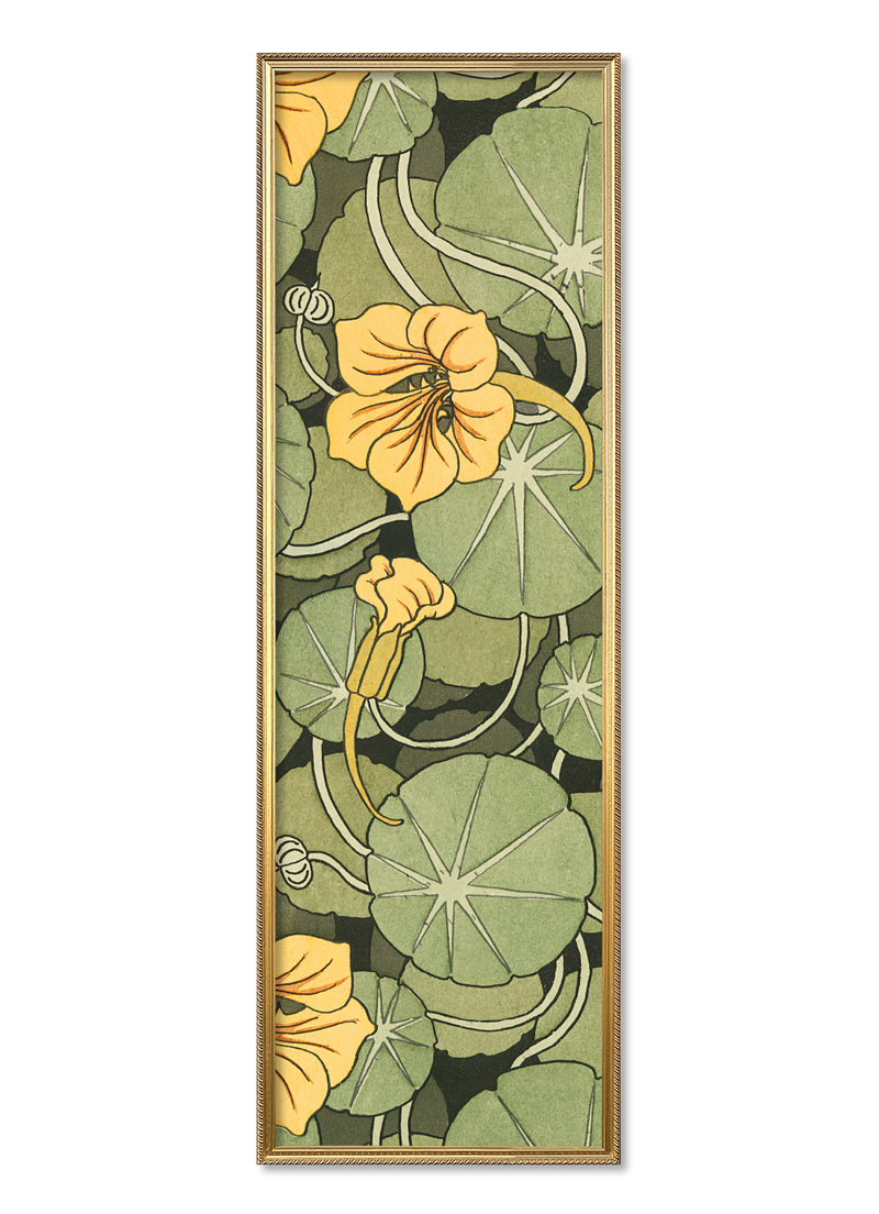 Nasturtium