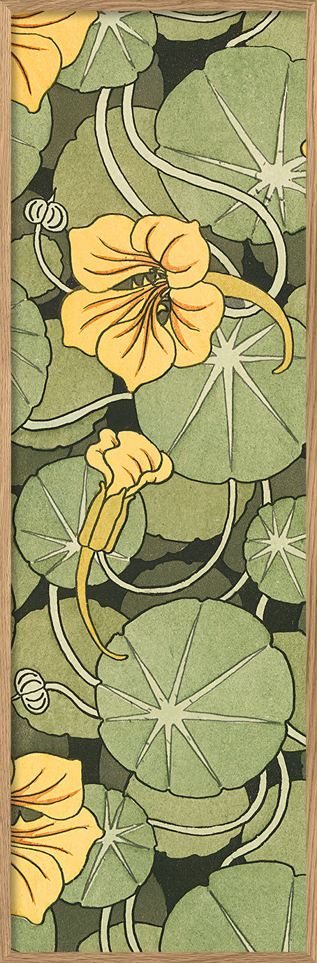 Nasturtium