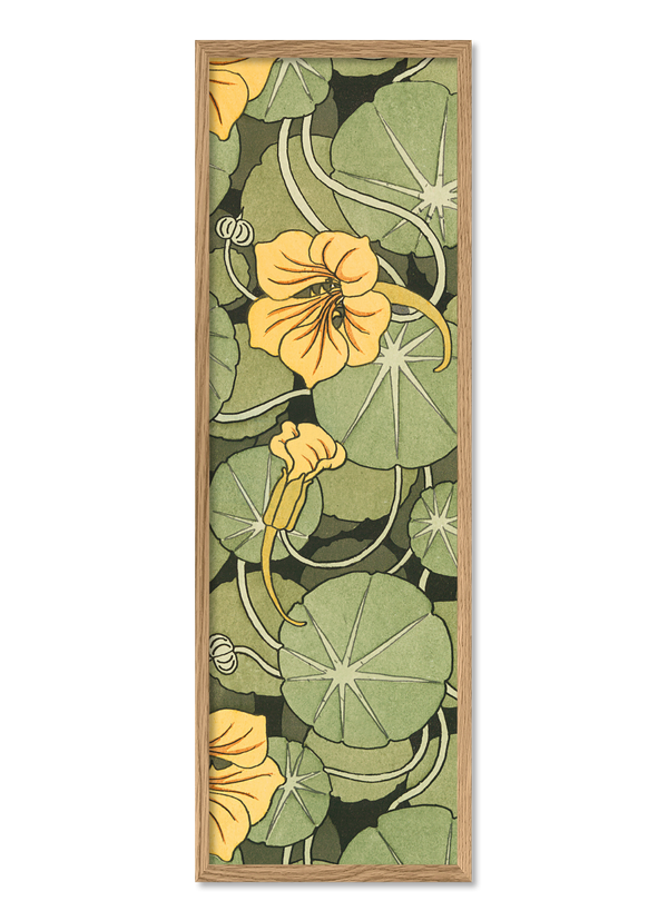 Nasturtium