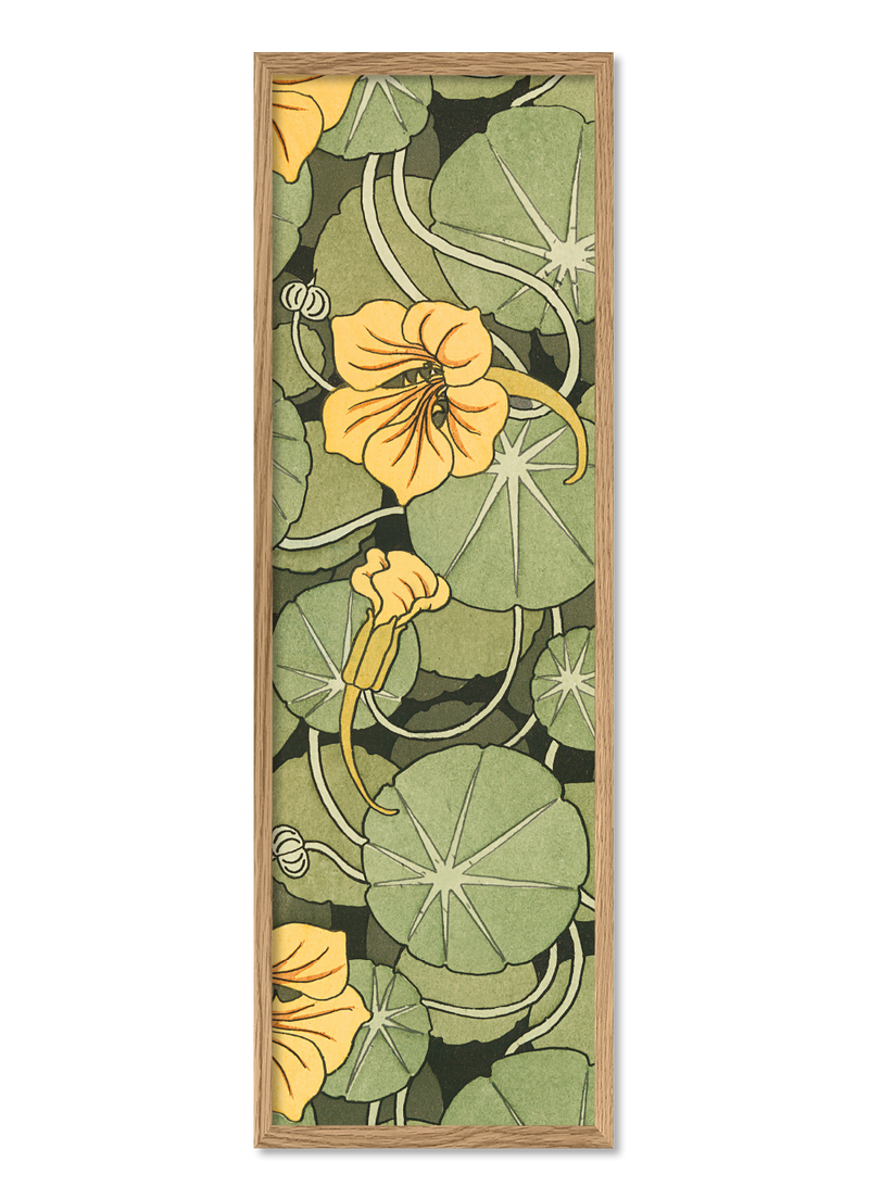 Nasturtium