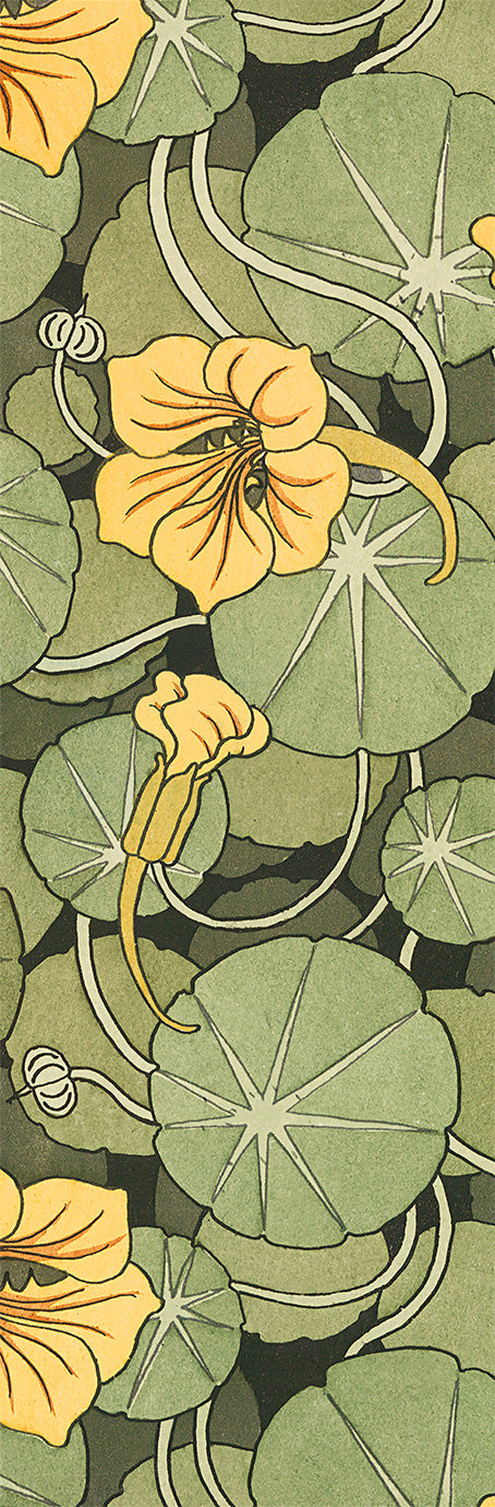 Nasturtium