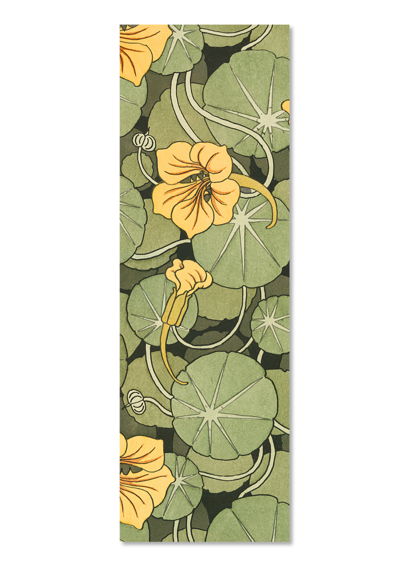 Nasturtium