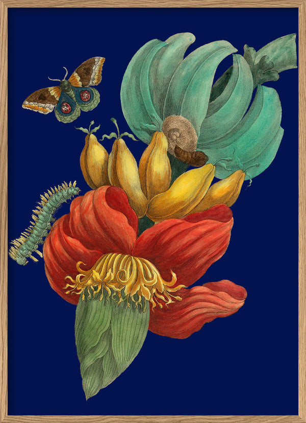 Banana Flower