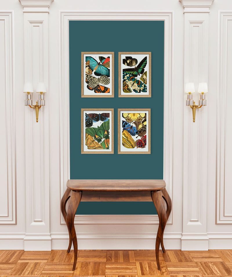 Papillon V. Mini Print