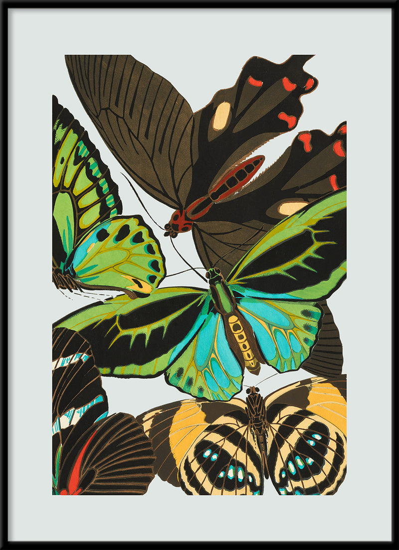 Papillon VI. Mini Print