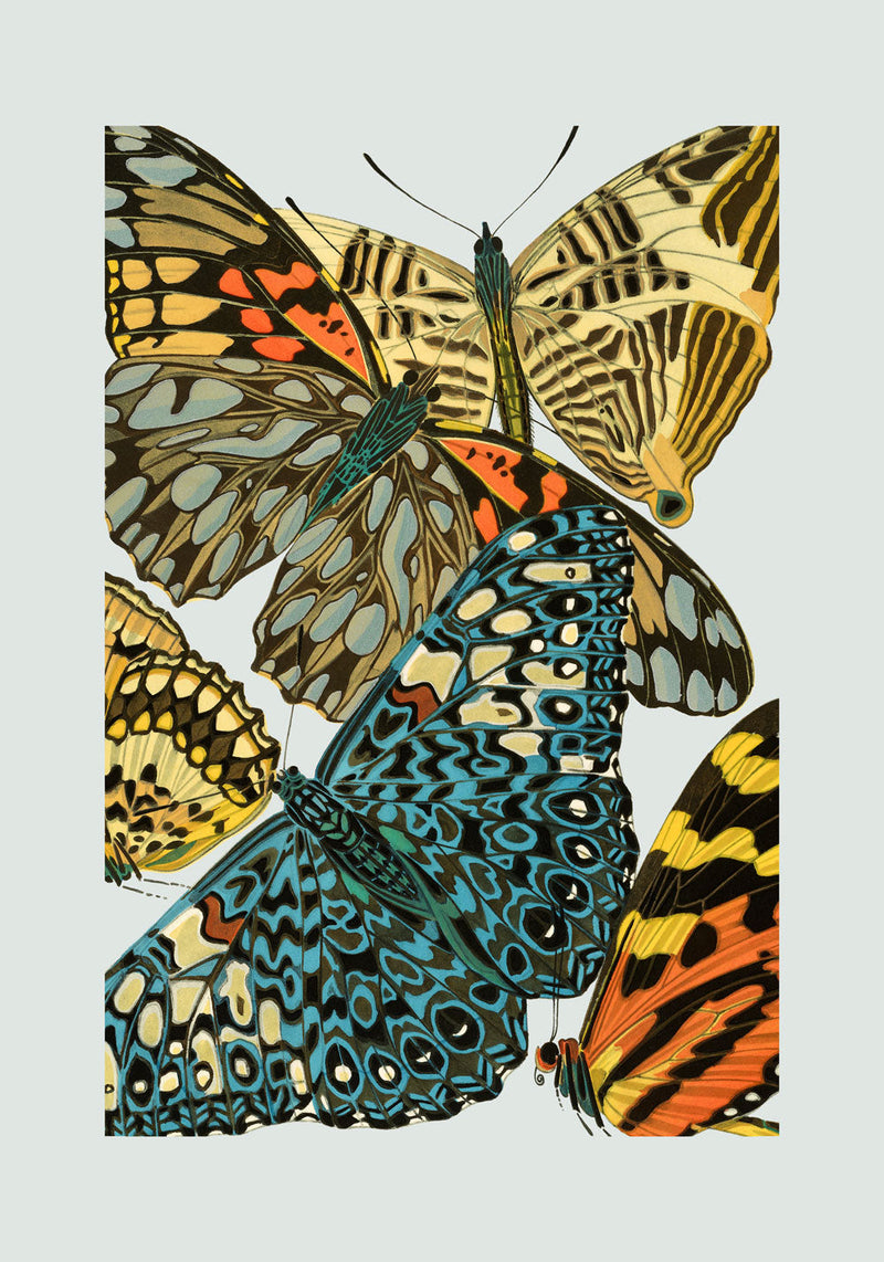 Papillon VII. Mini Print