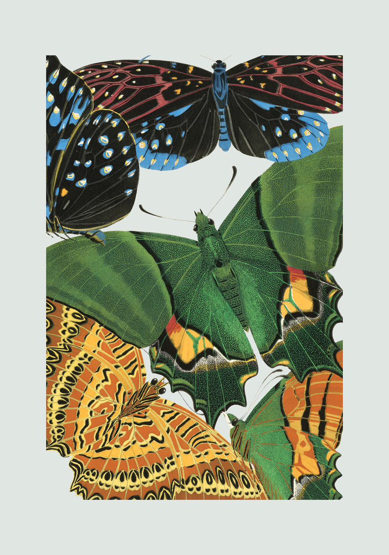 Papillon VIII. Mini Print