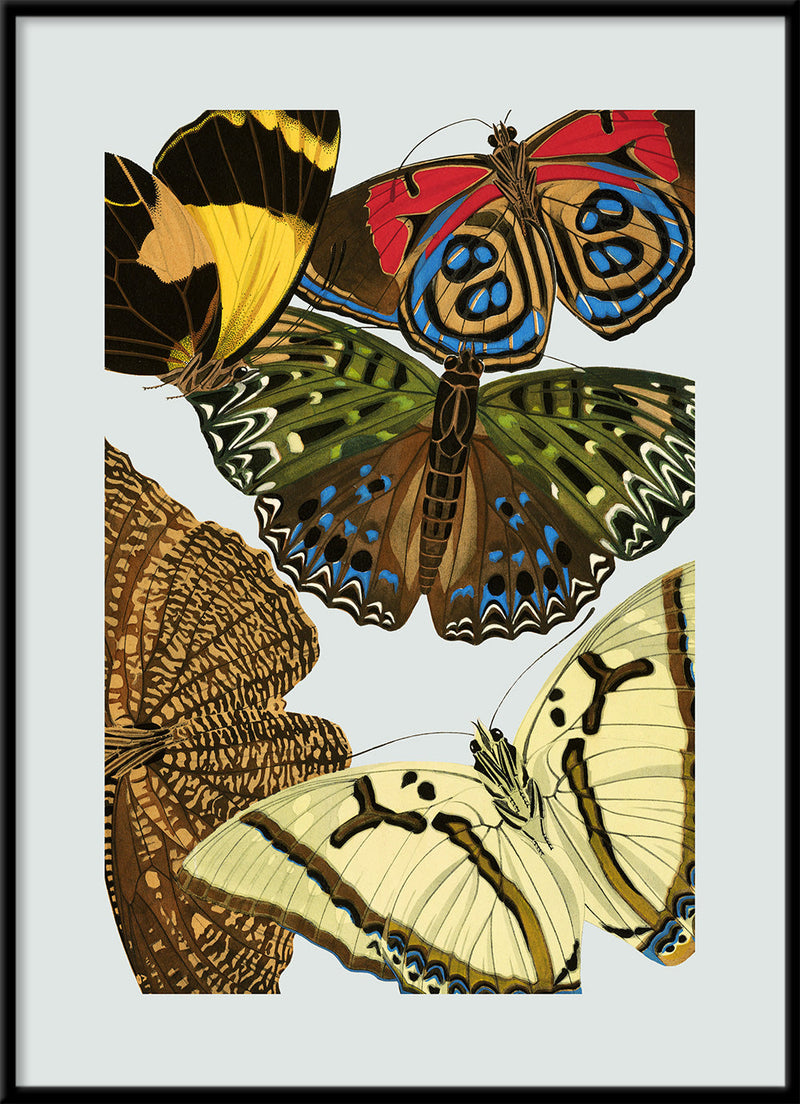 Papillon X. Mini Print