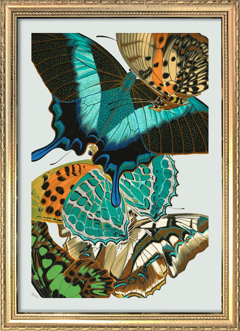 Papillon XI. Mini Print