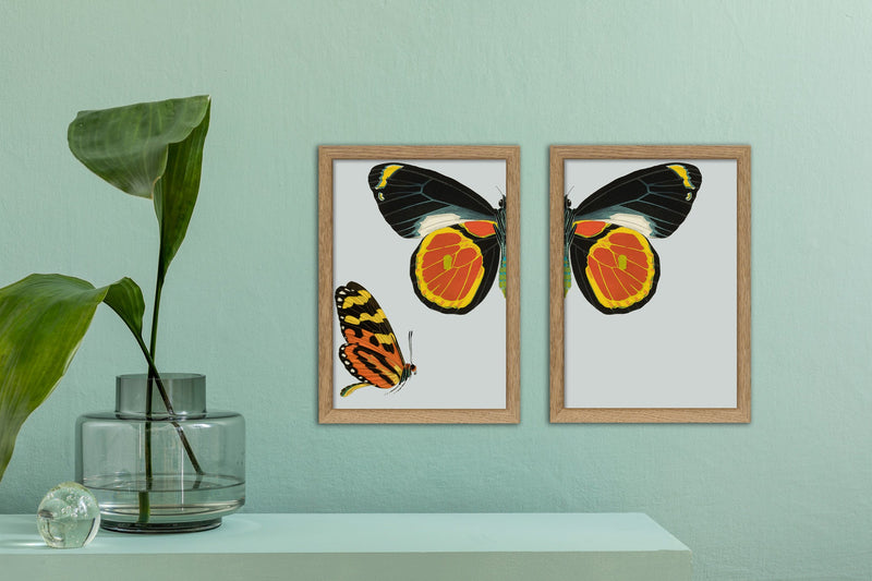 Black and Yellow Butterfly Right. Mini Print