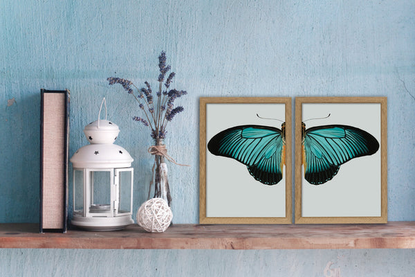 Blue Butterfly Right. Mini Print