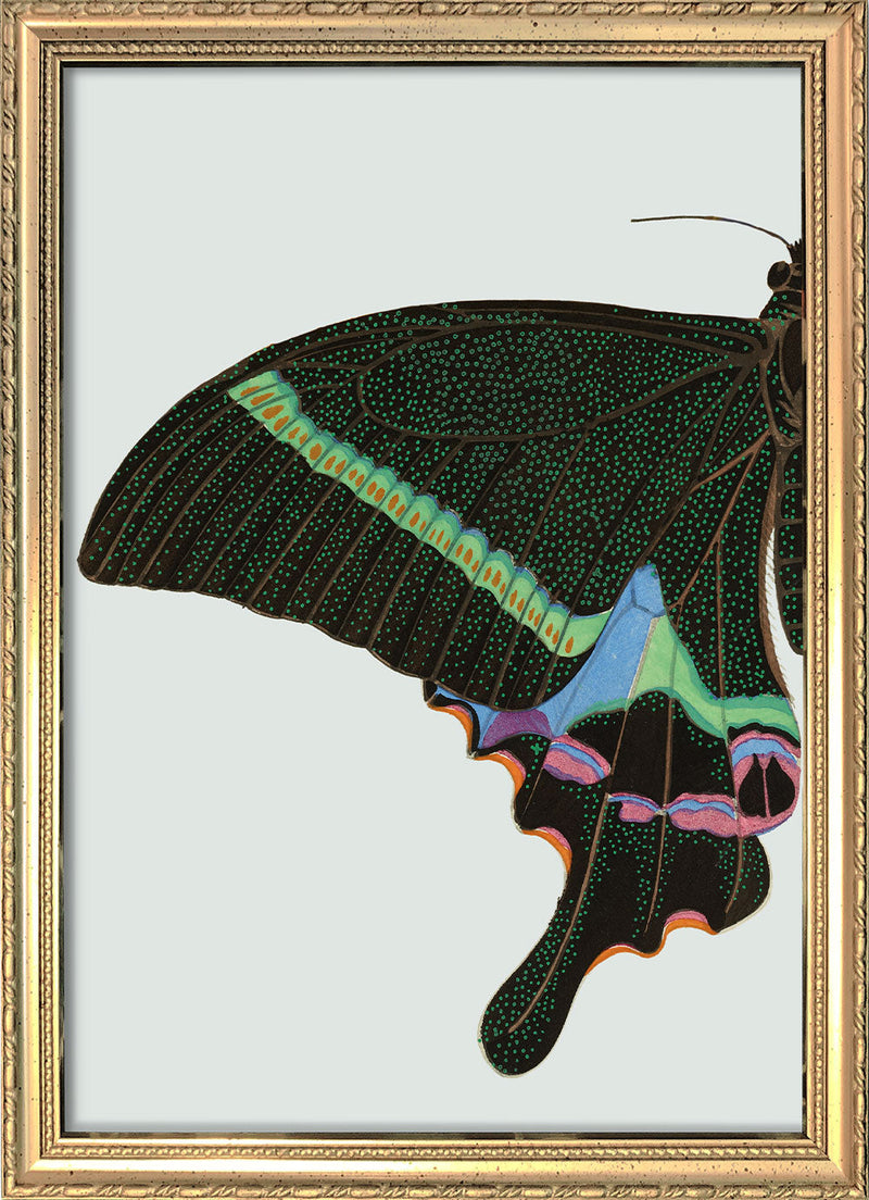 Green spotted Butterfly Left. Mini Print