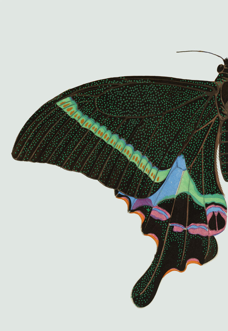 Green spotted Butterfly Left. Mini Print