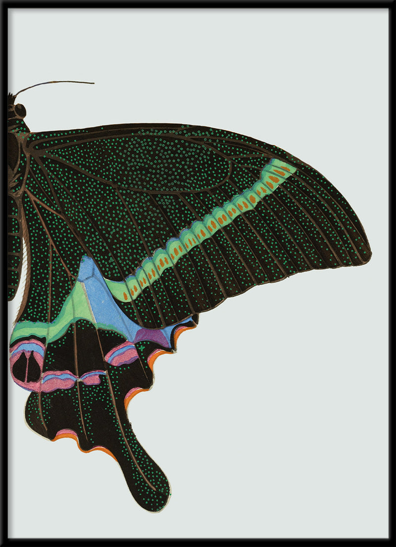 Green spotted Butterfly Right. Mini Print