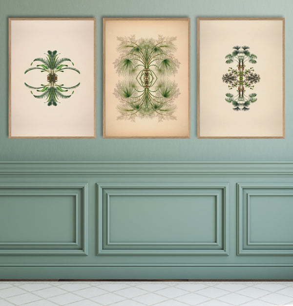 Botanical Reflection Limited Edition Print