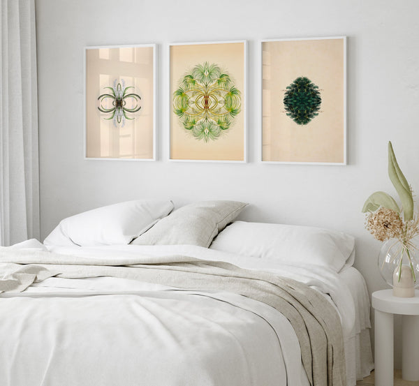 Botanical Reflection Limited Edition Print