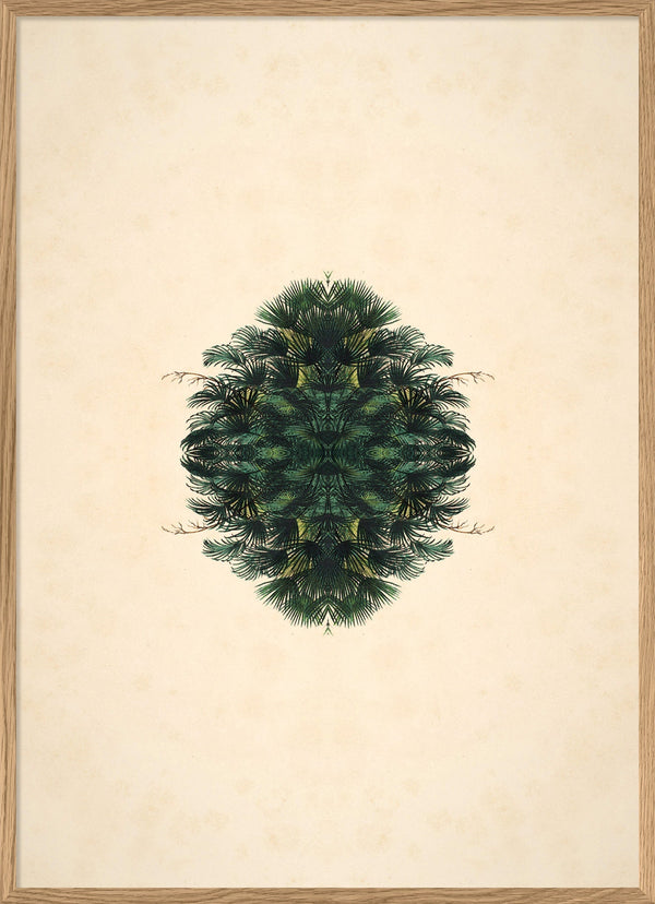 Botanical Reflection Limited Edition Print