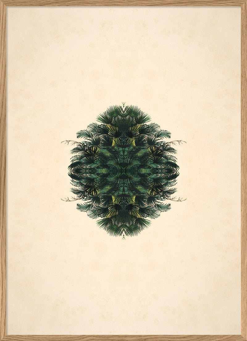 Botanical Reflection Limited Edition Print