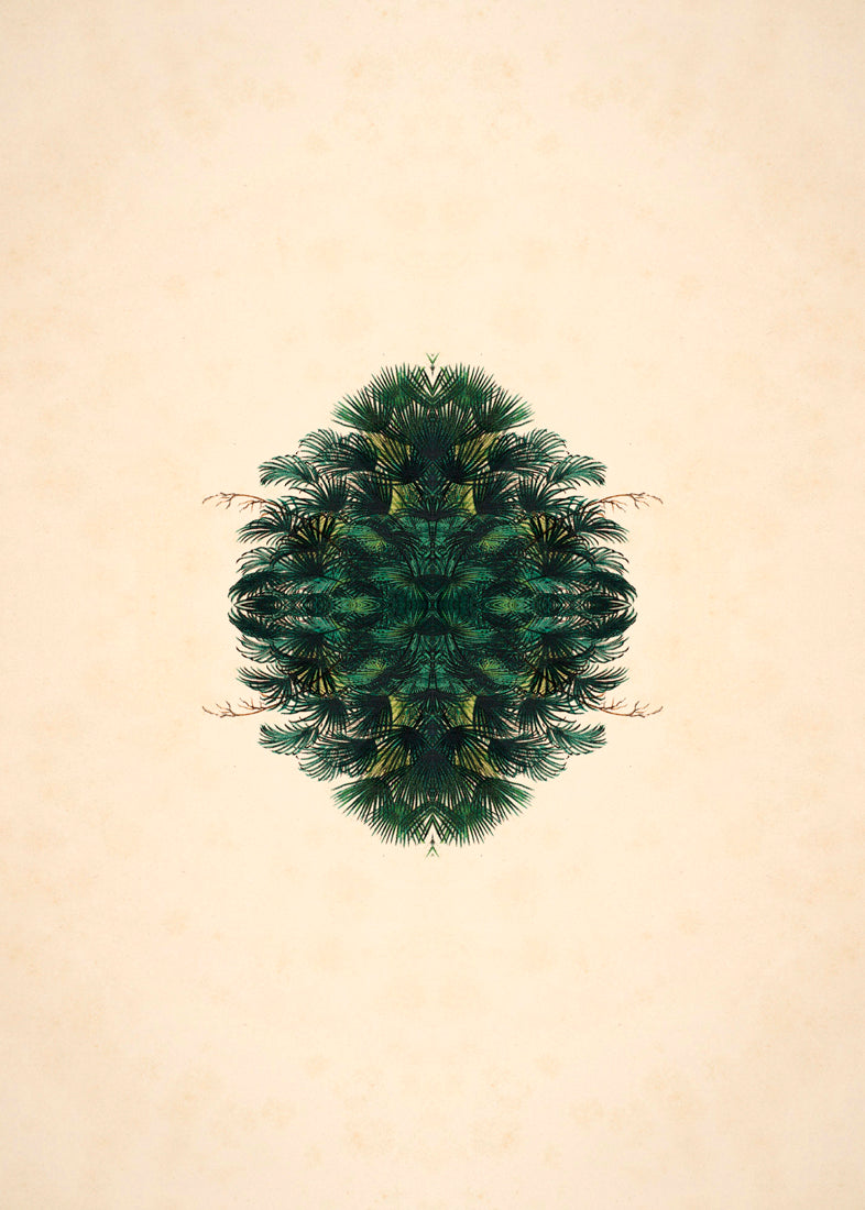 Botanical Reflection Limited Edition Print