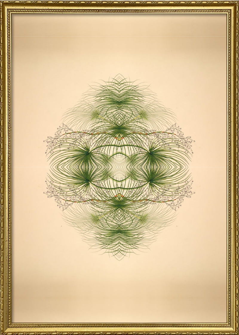 Botanical Reflection Limited Edition Print