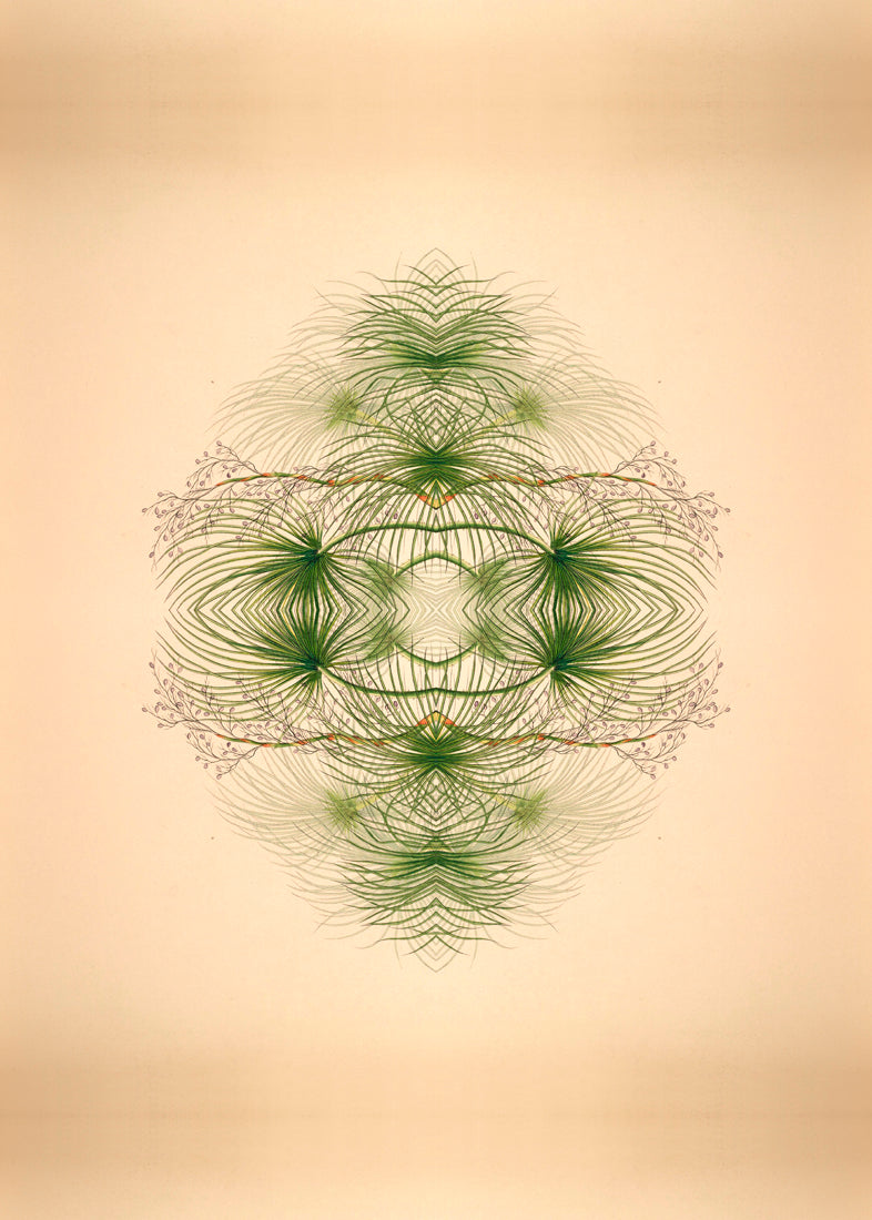 Botanical Reflection Limited Edition Print