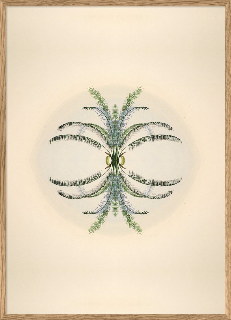 Botanical Reflection Limited Edition Print