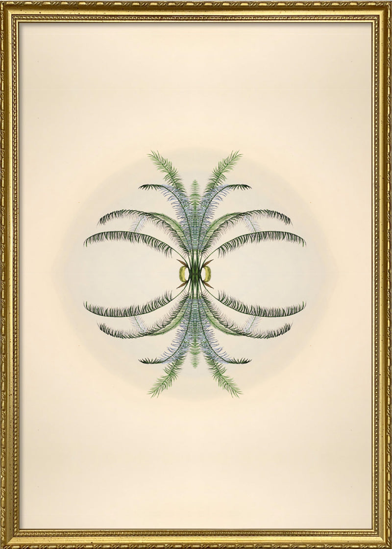 Botanical Reflection Limited Edition Print