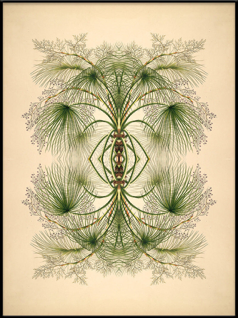 Botanical Reflection Limited Edition Print