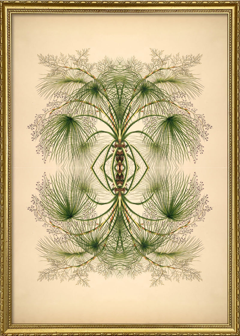 Botanical Reflection Limited Edition Print