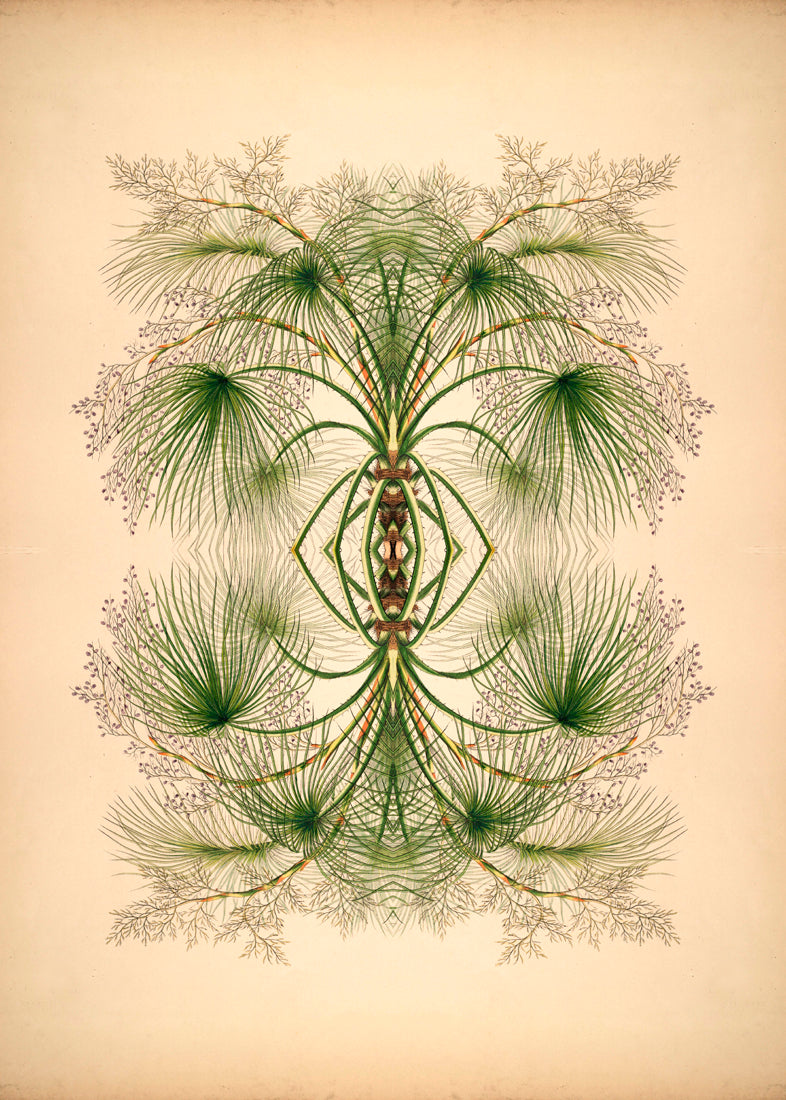 Botanical Reflection Limited Edition Print