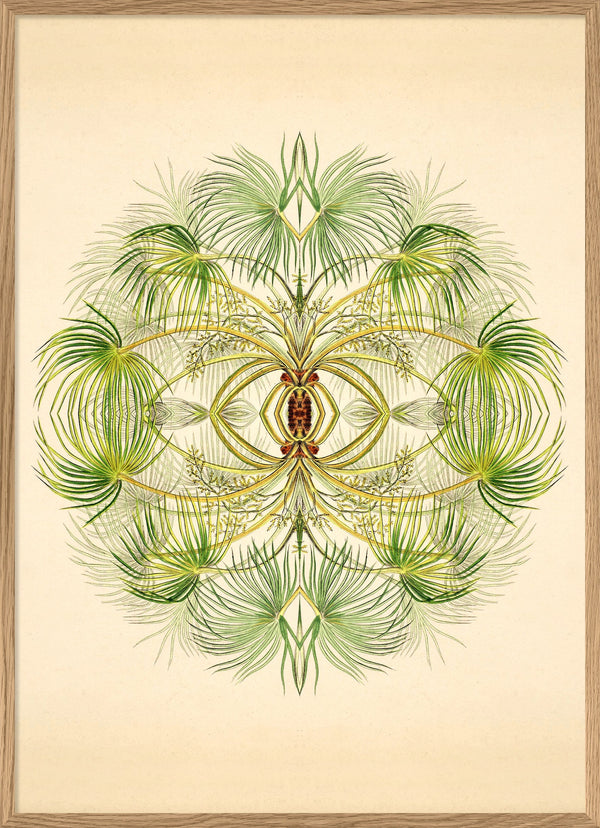 Botanical Reflection Limited Edition Print