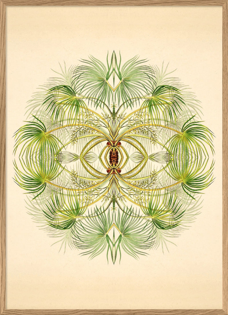 Botanical Reflection Limited Edition Print