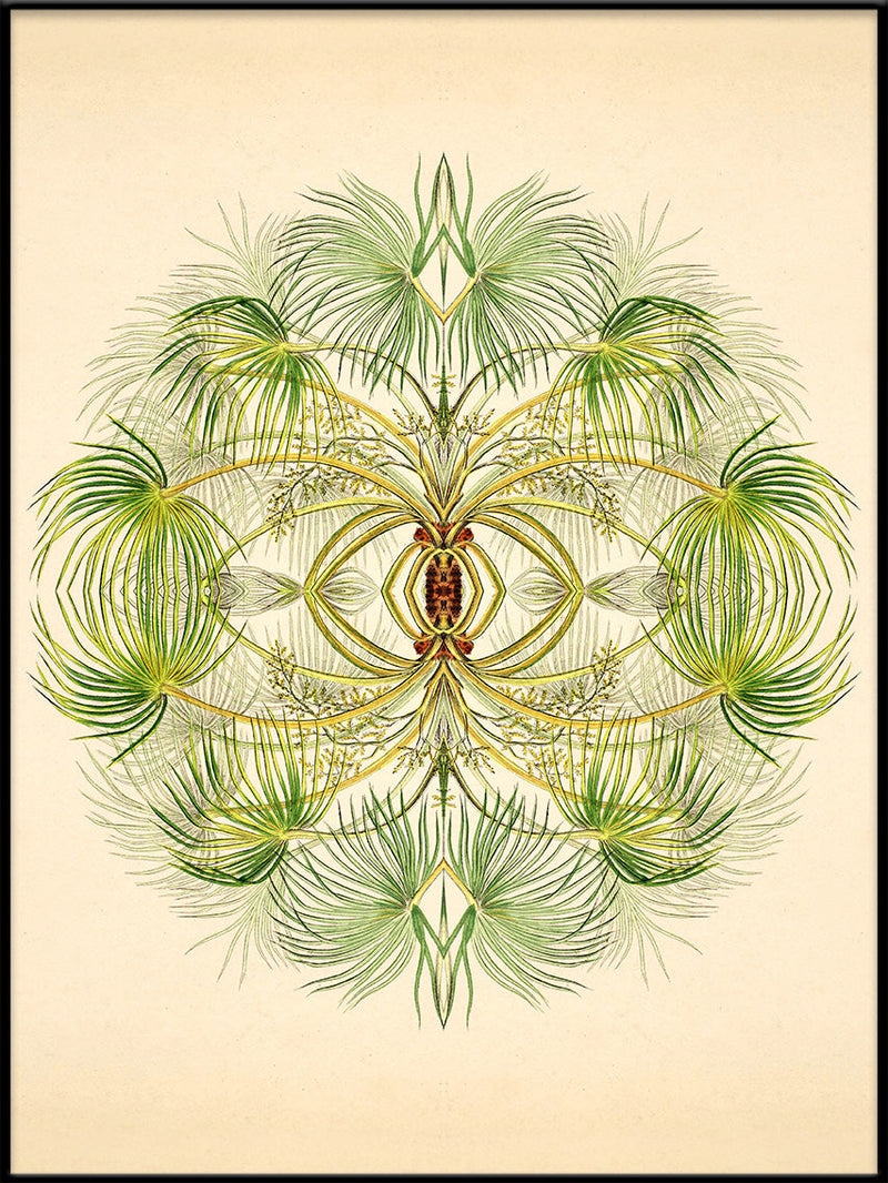 Botanical Reflection Limited Edition Print