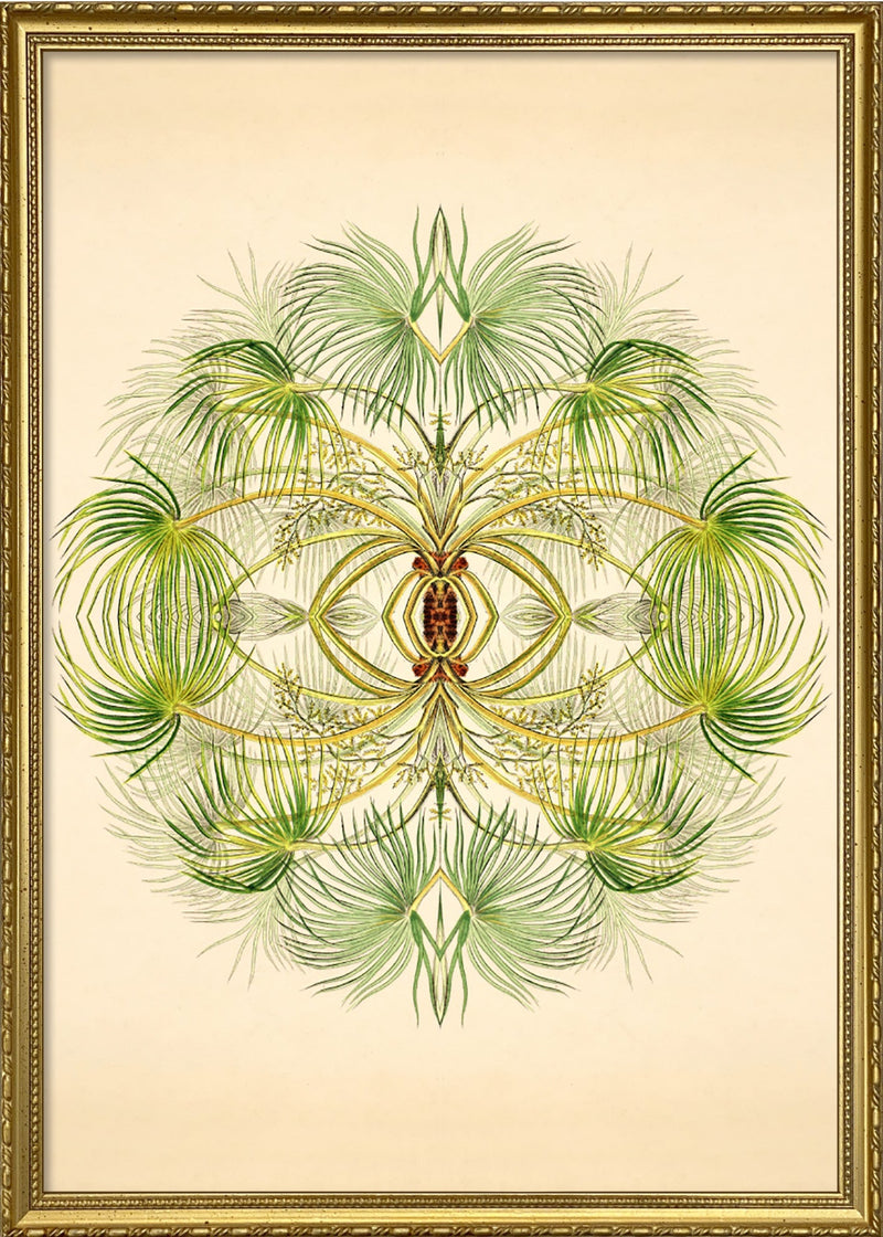 Botanical Reflection Limited Edition Print