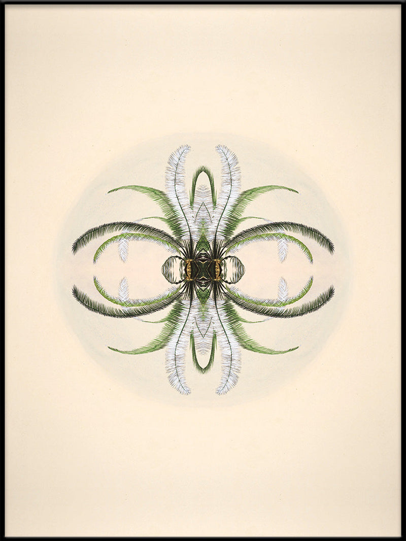 Botanical Reflection Limited Edition Print