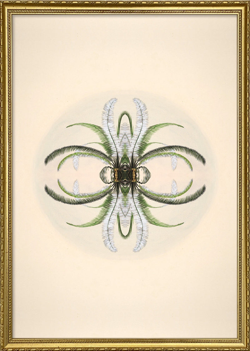 Botanical Reflection Limited Edition Print