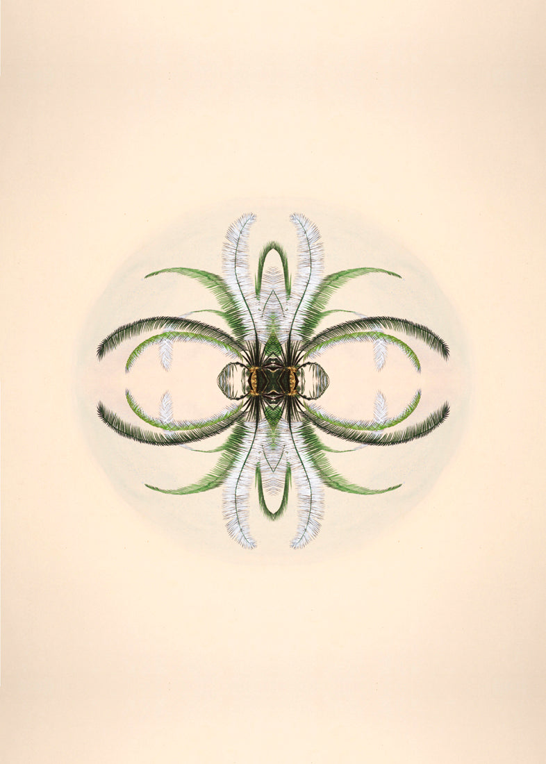 Botanical Reflection Limited Edition Print