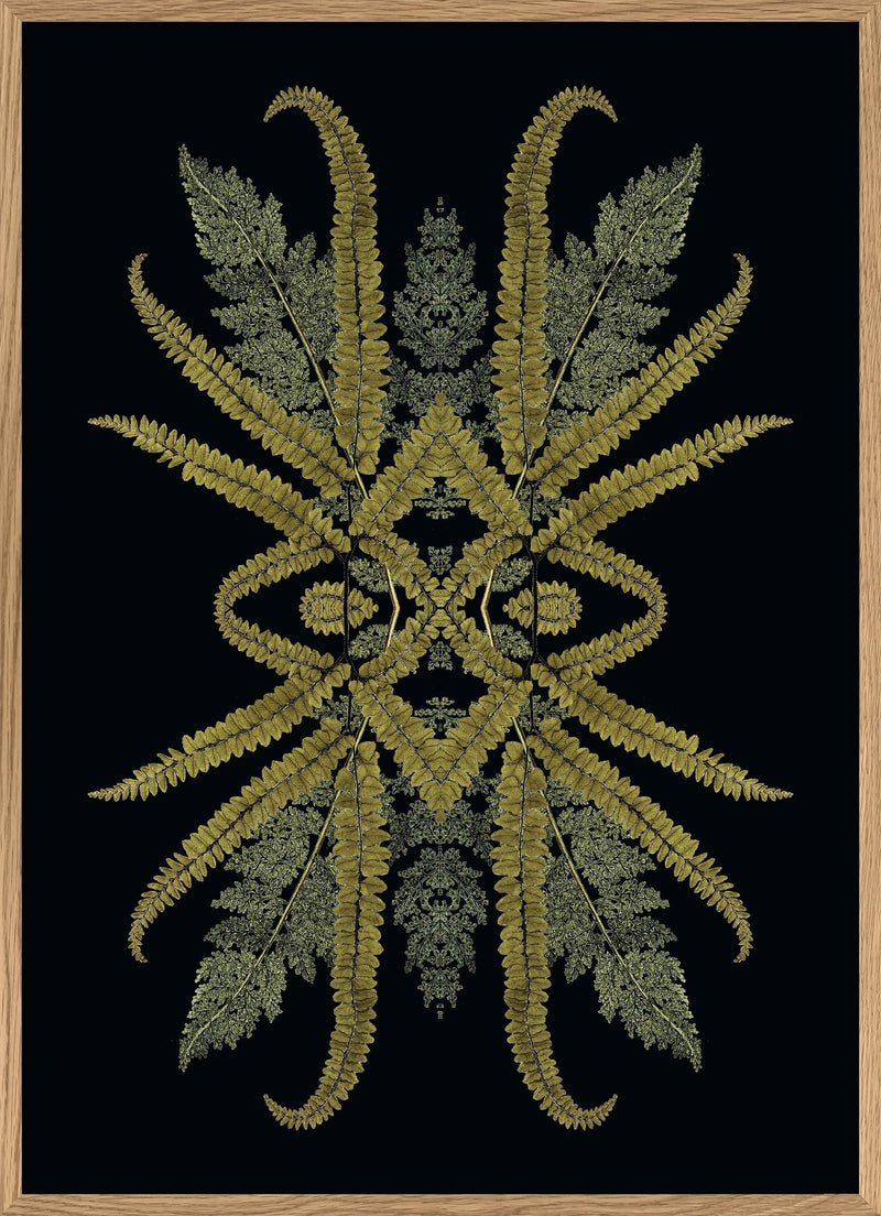 Botanical Reflection Limited Edition Print