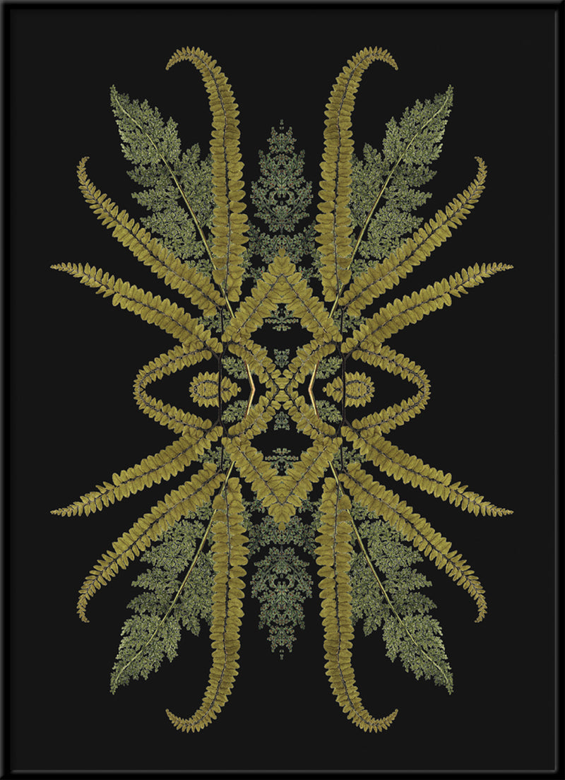 Botanical Reflection Limited Edition Print