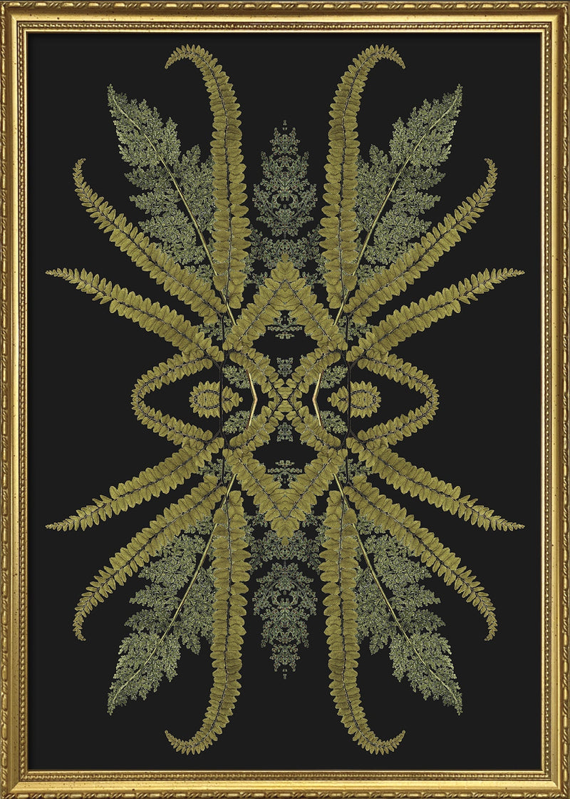 Botanical Reflection Limited Edition Print