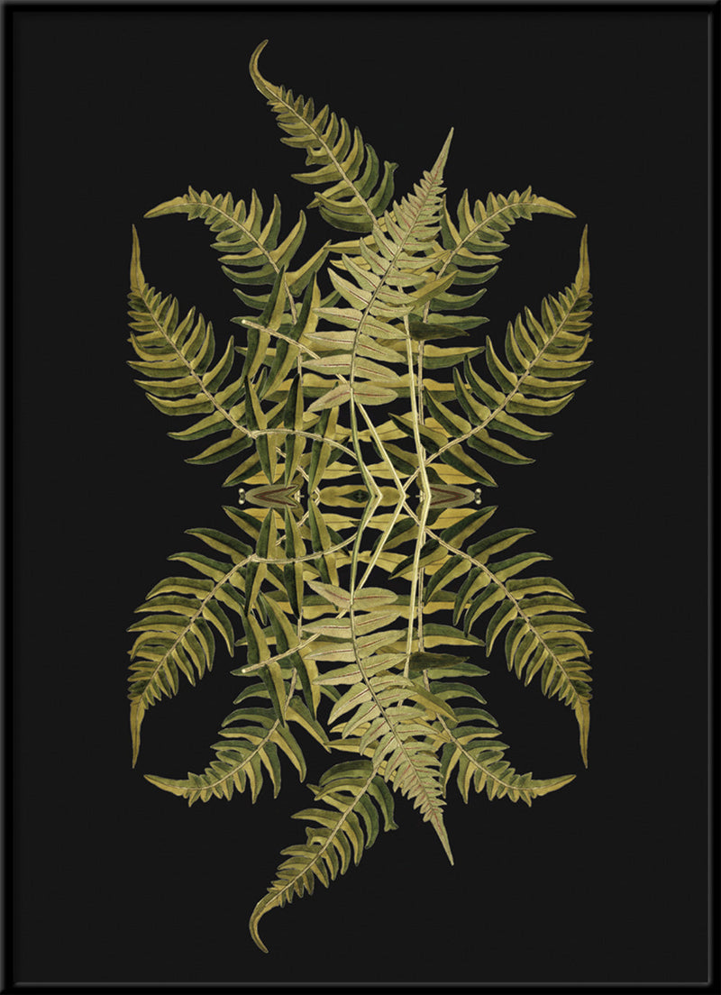 Botanical Reflection Limited Edition Print