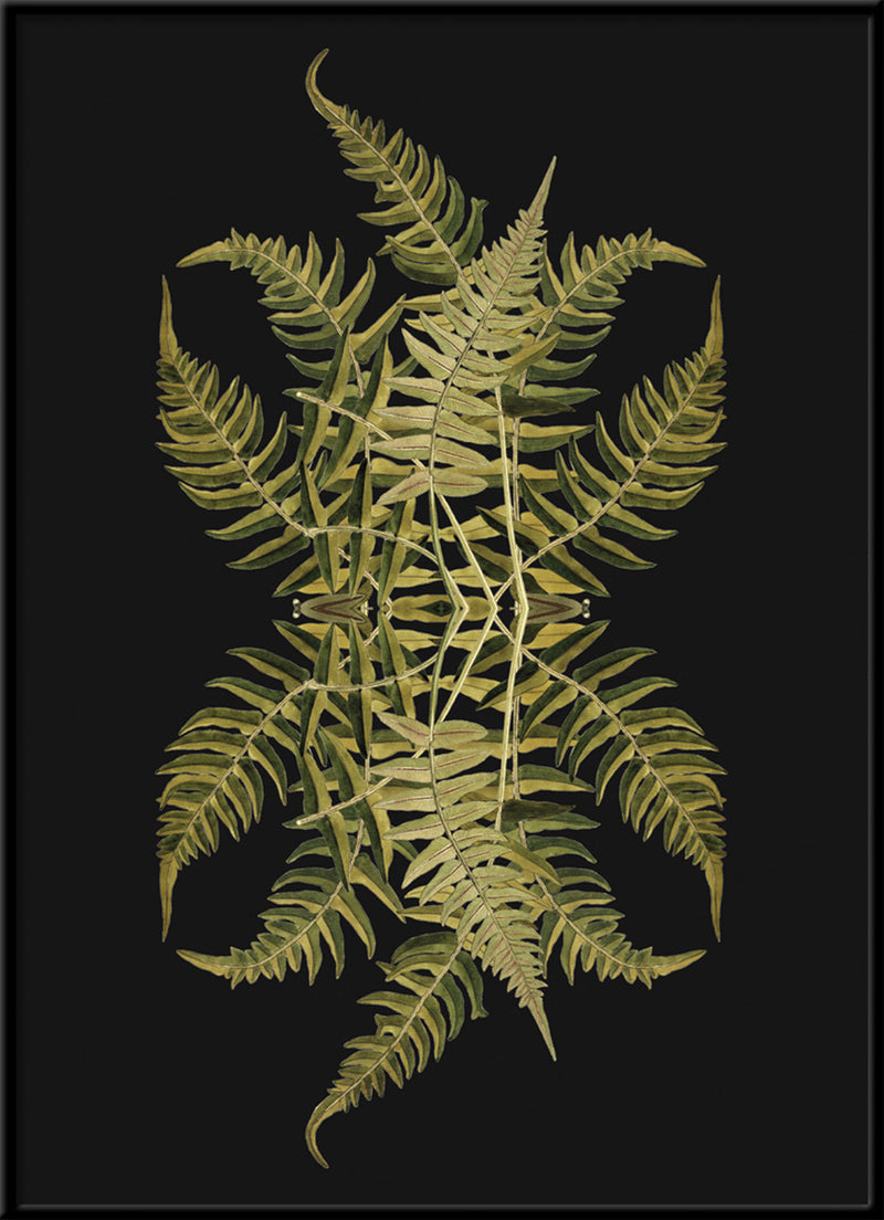 Botanical Reflection Limited Edition Print