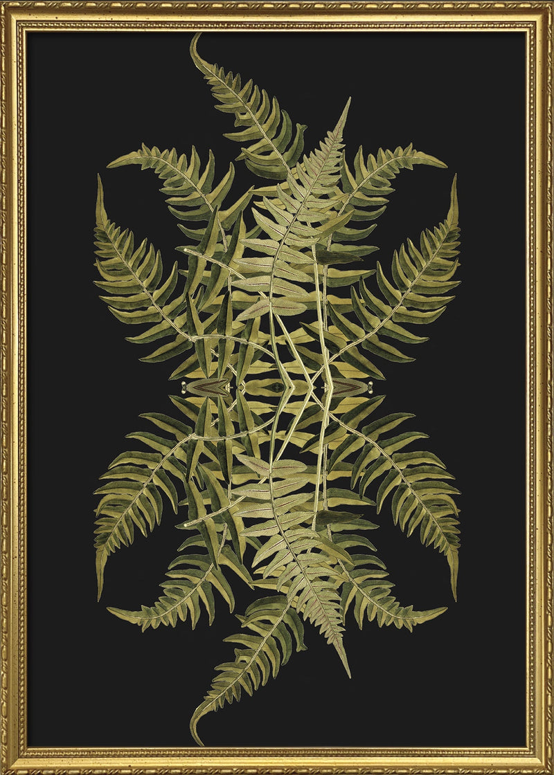 Botanical Reflection Limited Edition Print