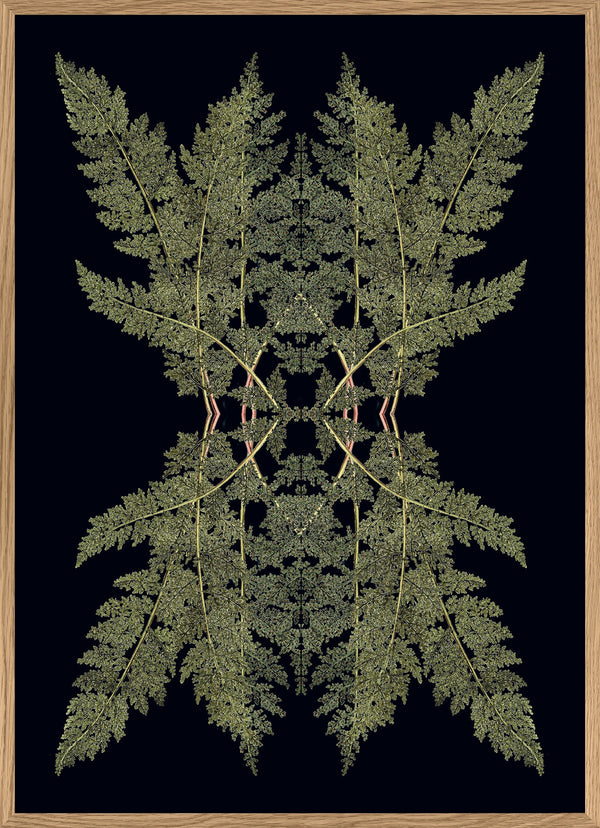 Botanical Reflection Limited Edition Print