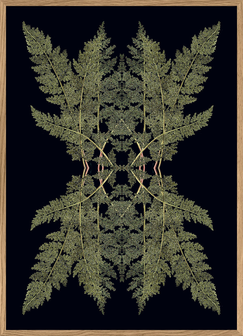 Botanical Reflection Limited Edition Print