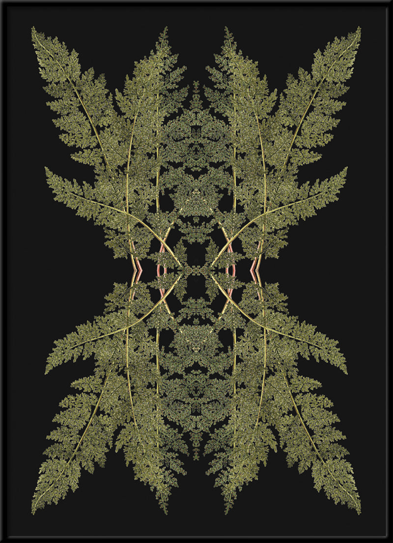 Botanical Reflection Limited Edition Print