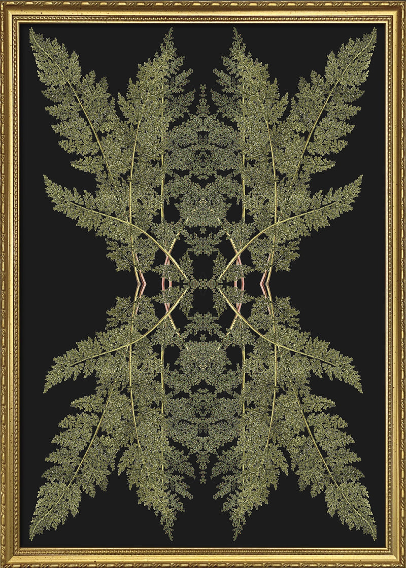 Botanical Reflection Limited Edition Print