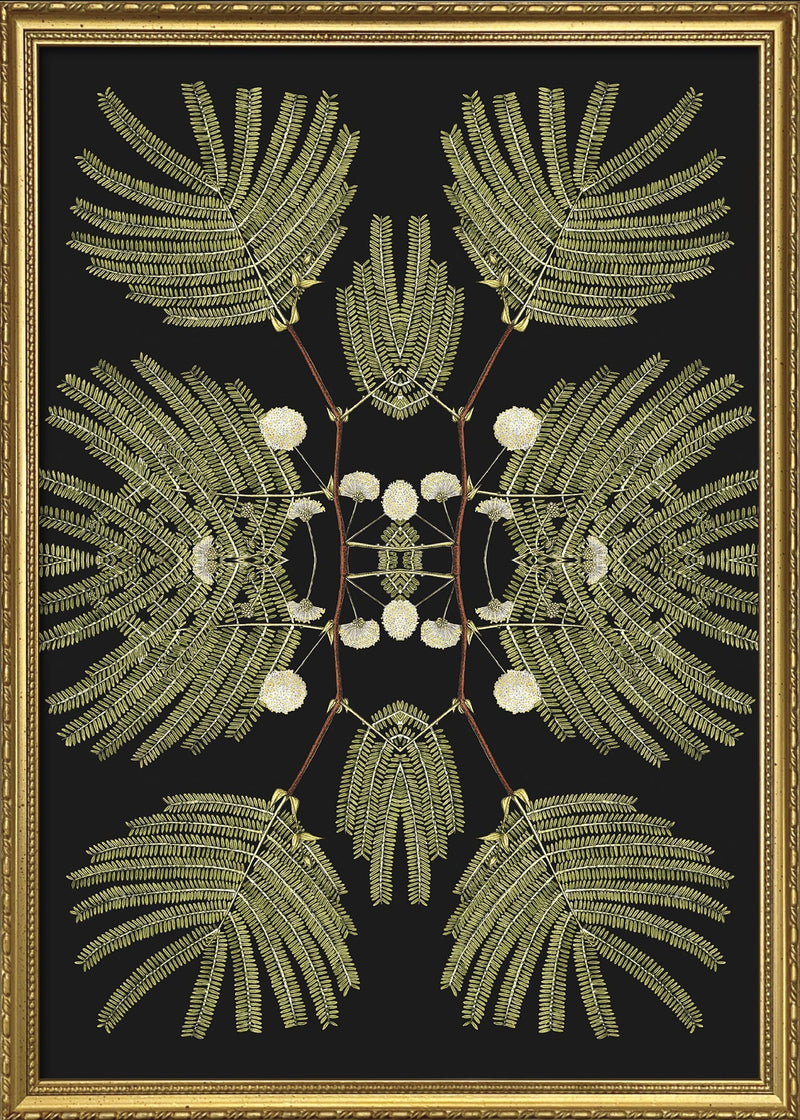 Botanical Reflection Limited Edition Print