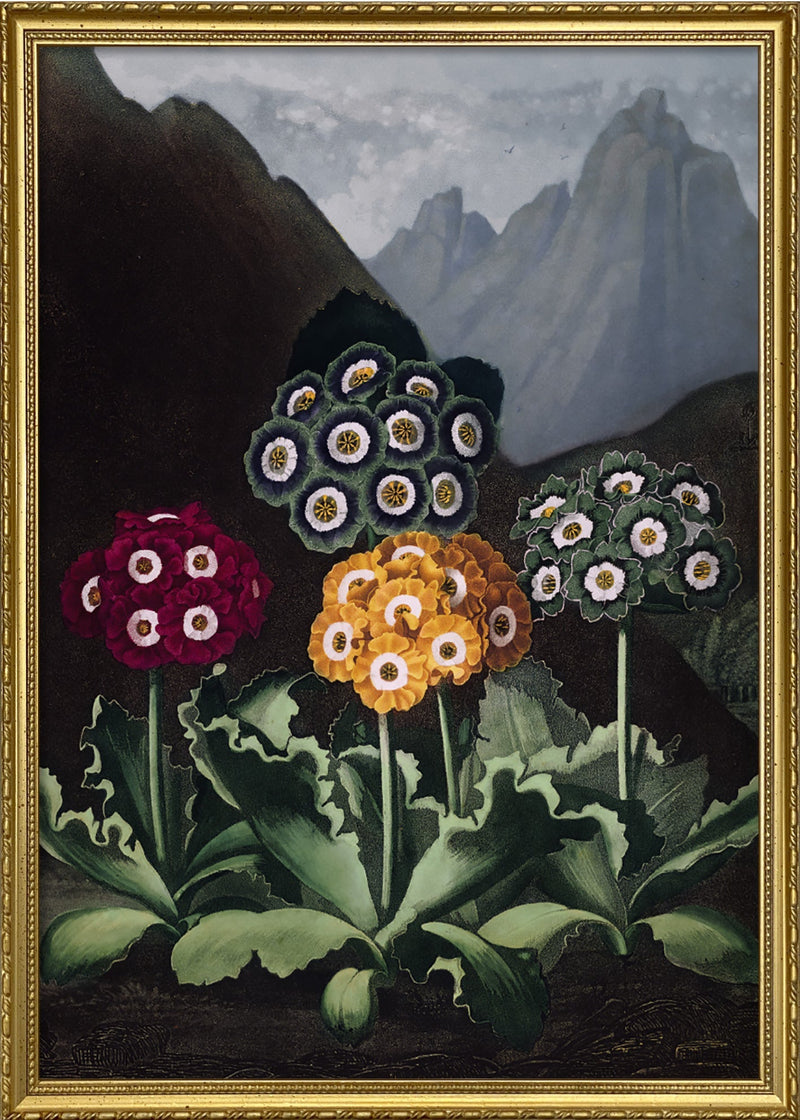 Green, Blue, Red and Yellow Flowers