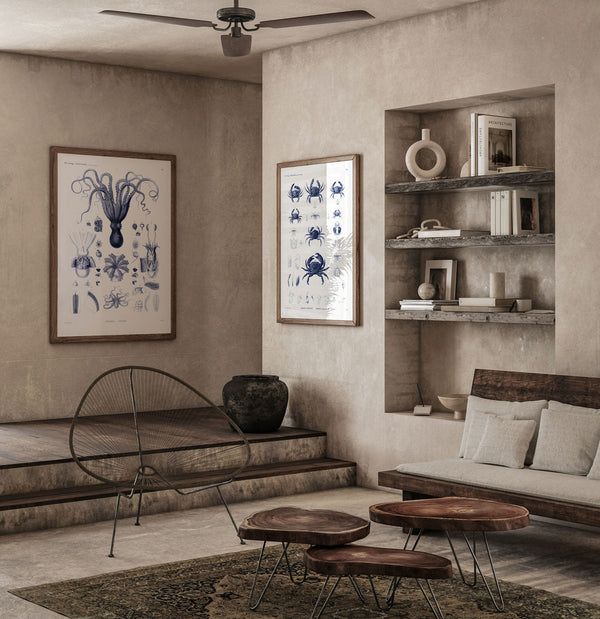 Octopuses and Cuttlefish